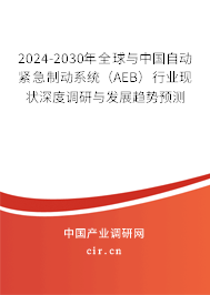 2024-2030年全球與中國自動(dòng)緊急制動(dòng)系統(tǒng)(AEB)行業(yè)現(xiàn)狀深度調(diào)研與發(fā)展趨勢(shì)預(yù)測(cè) 2024-2030年全球與中國自動(dòng)緊急制動(dòng)系統(tǒng)(AEB)行業(yè)現(xiàn)狀深度調(diào)研與發(fā)展趨勢(shì)預(yù)測(cè)