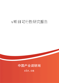 v項(xiàng)目可行性研究報(bào)告