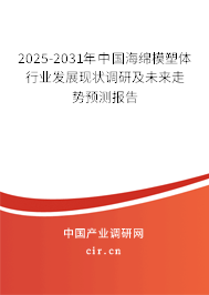 2025-2031年中國海綿模塑體行業(yè)發(fā)展現(xiàn)狀調(diào)研及未來走勢預(yù)測報(bào)告 2025-2031年中國海綿模塑體行業(yè)發(fā)展現(xiàn)狀調(diào)研及未來走勢預(yù)測報(bào)告