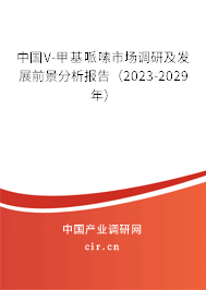 中國V-甲基哌嗉市場調研及發(fā)展前景分析報告(2023-2029年) 中國V-甲基哌嗉市場調研及發(fā)展前景分析報告(2023-2029年)