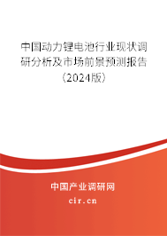 中國(guó)動(dòng)力鋰電池行業(yè)現(xiàn)狀調(diào)研分析及市場(chǎng)前景預(yù)測(cè)報(bào)告（2024版）