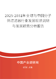 2025-2031年全球與中國(guó)分子篩過(guò)濾器行業(yè)發(fā)展現(xiàn)狀調(diào)研與發(fā)展趨勢(shì)分析報(bào)告 2025-2031年全球與中國(guó)分子篩過(guò)濾器行業(yè)發(fā)展現(xiàn)狀調(diào)研與發(fā)展趨勢(shì)分析報(bào)告