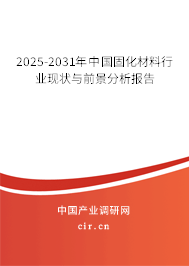 2025-2031年中國固化材料行業(yè)現(xiàn)狀與前景分析報(bào)告