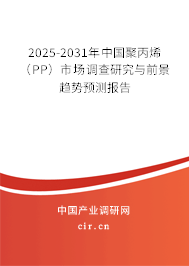 2025-2031年中國聚丙烯（PP）市場調(diào)查研究與前景趨勢預測報告