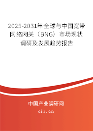 2025-2031年全球與中國(guó)寬帶網(wǎng)絡(luò)網(wǎng)關(guān)（BNG）市場(chǎng)現(xiàn)狀調(diào)研及發(fā)展趨勢(shì)報(bào)告