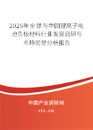 2025年全球與中國鋰離子電池負極材料行業(yè)發(fā)展調(diào)研與市場前景分析報告 2025年全球與中國鋰離子電池負極材料行業(yè)發(fā)展調(diào)研與市場前景分析報告