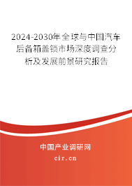 2024-2030年全球與中國(guó)汽車后備箱蓋鎖市場(chǎng)深度調(diào)查分析及發(fā)展前景研究報(bào)告