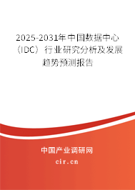 2025-2031年中國(guó)數(shù)據(jù)中心（IDC）行業(yè)研究分析及發(fā)展趨勢(shì)預(yù)測(cè)報(bào)告
