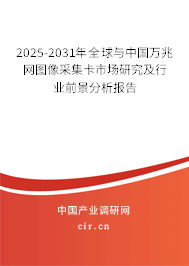 2025-2031年全球與中國萬兆網(wǎng)圖像采集卡市場研究及行業(yè)前景分析報告