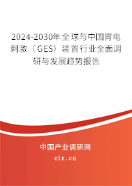 2024-2030年全球與中國胃電刺激（GES）裝置行業(yè)全面調(diào)研與發(fā)展趨勢報告