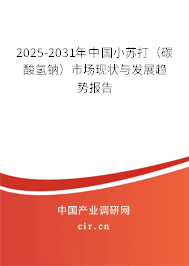 2025-2031年中國小蘇打(碳酸氫鈉)市場現(xiàn)狀與發(fā)展趨勢報告 2025-2031年中國小蘇打(碳酸氫鈉)市場現(xiàn)狀與發(fā)展趨勢報告