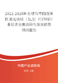2022-2028年全球與中國選擇性激光燒結(jié)（SLS）打印機行業(yè)現(xiàn)狀全面調(diào)研與發(fā)展趨勢預測報告