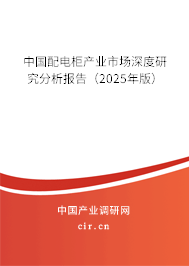 中國配電柜產(chǎn)業(yè)市場深度研究分析報告(2025年版) 中國配電柜產(chǎn)業(yè)市場深度研究分析報告(2025年版)