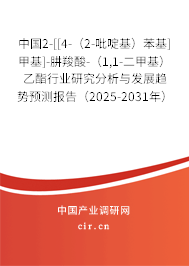 中國2-[[4-（2-吡啶基）苯基]甲基]-肼羧酸-（1,1-二甲基）乙酯行業(yè)研究分析與發(fā)展趨勢預(yù)測報(bào)告（2025-2031年）