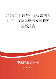 2025年全球與中國(guó)彈簧測(cè)力計(jì)行業(yè)發(fā)展調(diào)研與發(fā)展趨勢(shì)分析報(bào)告