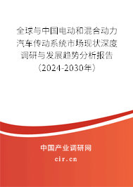 全球與中國電動和混合動力汽車傳動系統(tǒng)市場現(xiàn)狀深度調(diào)研與發(fā)展趨勢分析報告(2024-2030年) 全球與中國電動和混合動力汽車傳動系統(tǒng)市場現(xiàn)狀深度調(diào)研與發(fā)展趨勢分析報告(2024-2030年)