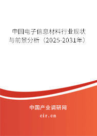 中國電子信息材料行業(yè)現(xiàn)狀與前景分析(2025-2031年) 中國電子信息材料行業(yè)現(xiàn)狀與前景分析(2025-2031年)