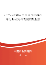 2025-2031年中國光傳感器芯片行業(yè)研究與發(fā)展前景報(bào)告