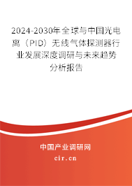 2024-2030年全球與中國光電離（PID）無線氣體探測器行業(yè)發(fā)展深度調(diào)研與未來趨勢分析報(bào)告