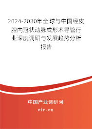 2024-2030年全球與中國(guó)經(jīng)皮腔內(nèi)冠狀動(dòng)脈成形術(shù)導(dǎo)管行業(yè)深度調(diào)研與發(fā)展趨勢(shì)分析報(bào)告 2024-2030年全球與中國(guó)經(jīng)皮腔內(nèi)冠狀動(dòng)脈成形術(shù)導(dǎo)管行業(yè)深度調(diào)研與發(fā)展趨勢(shì)分析報(bào)告