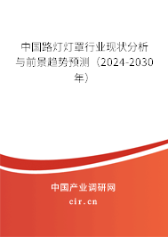 中國路燈燈罩行業(yè)現(xiàn)狀分析與前景趨勢預(yù)測(2024-2030年) 中國路燈燈罩行業(yè)現(xiàn)狀分析與前景趨勢預(yù)測(2024-2030年)