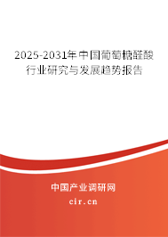 2025-2031年中國葡萄糖醛酸行業(yè)研究與發(fā)展趨勢報告 2025-2031年中國葡萄糖醛酸行業(yè)研究與發(fā)展趨勢報告
