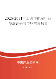 2025-2031年上海市航空行業(yè)發(fā)展調(diào)研與市場前景報告 2025-2031年上海市航空行業(yè)發(fā)展調(diào)研與市場前景報告