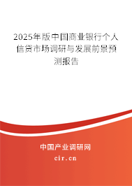 2025年版中國商業(yè)銀行個人信貸市場調研與發(fā)展前景預測報告