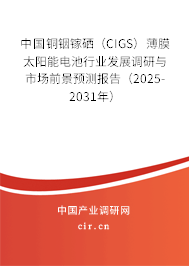 中國銅銦鎵硒(CIGS)薄膜太陽能電池行業(yè)發(fā)展調(diào)研與市場(chǎng)前景預(yù)測(cè)報(bào)告(2025-2031年) 中國銅銦鎵硒(CIGS)薄膜太陽能電池行業(yè)發(fā)展調(diào)研與市場(chǎng)前景預(yù)測(cè)報(bào)告(2025-2031年)