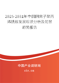 2025-2031年中國(guó)陰離子聚丙烯酰胺發(fā)展現(xiàn)狀分析及前景趨勢(shì)報(bào)告