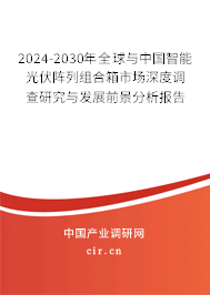 2024-2030年全球與中國智能光伏陣列組合箱市場深度調(diào)查研究與發(fā)展前景分析報(bào)告