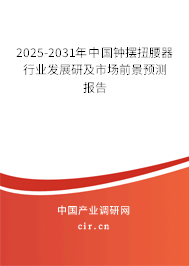 2025-2031年中國鐘擺扭腰器行業(yè)發(fā)展研及市場前景預(yù)測報告