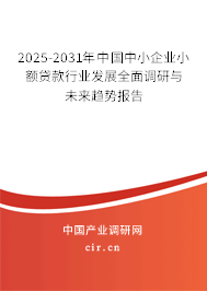 2025-2031年中國中小企業(yè)小額貸款行業(yè)發(fā)展全面調(diào)研與未來趨勢報告 2025-2031年中國中小企業(yè)小額貸款行業(yè)發(fā)展全面調(diào)研與未來趨勢報告