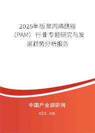 2025年版聚丙烯酰胺(PAM)行業(yè)專題研究與發(fā)展趨勢分析報(bào)告 2025年版聚丙烯酰胺(PAM)行業(yè)專題研究與發(fā)展趨勢分析報(bào)告