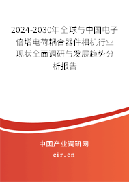 2024-2030年全球與中國(guó)電子倍增電荷耦合器件相機(jī)行業(yè)現(xiàn)狀全面調(diào)研與發(fā)展趨勢(shì)分析報(bào)告