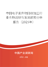 中國(guó)電子廢棄物回收加工行業(yè)市場(chǎng)調(diào)研與發(fā)展趨勢(shì)分析報(bào)告（2025年）