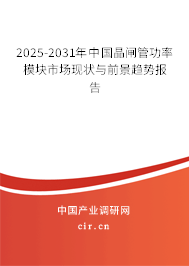 2024-2030年中國(guó)晶閘管功率模塊市場(chǎng)現(xiàn)狀與前景趨勢(shì)報(bào)告 2024-2030年中國(guó)晶閘管功率模塊市場(chǎng)現(xiàn)狀與前景趨勢(shì)報(bào)告