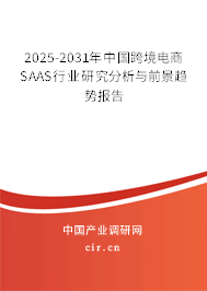 2025-2031年中國跨境電商SAAS行業(yè)研究分析與前景趨勢報告 2025-2031年中國跨境電商SAAS行業(yè)研究分析與前景趨勢報告