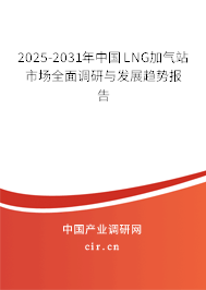 2025-2031年中國LNG加氣站市場全面調(diào)研與發(fā)展趨勢報告