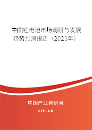 中國鋰電池市場調(diào)研與發(fā)展趨勢預(yù)測報告（2025年）