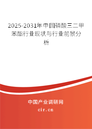 2025-2031年中國(guó)磷酸三二甲苯酯行業(yè)現(xiàn)狀與行業(yè)前景分析 2025-2031年中國(guó)磷酸三二甲苯酯行業(yè)現(xiàn)狀與行業(yè)前景分析