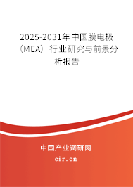 2025-2031年中國膜電極(MEA)行業(yè)研究與前景分析報告 2025-2031年中國膜電極(MEA)行業(yè)研究與前景分析報告