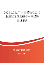 2025-2031年中國模塊電源行業(yè)發(fā)展深度調(diào)研與未來趨勢分析報(bào)告 2025-2031年中國模塊電源行業(yè)發(fā)展深度調(diào)研與未來趨勢分析報(bào)告