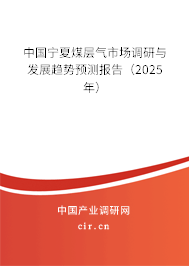 中國寧夏煤層氣市場調(diào)研與發(fā)展趨勢預(yù)測報告(2025年) 中國寧夏煤層氣市場調(diào)研與發(fā)展趨勢預(yù)測報告(2025年)