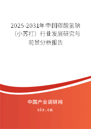 2025-2031年中國碳酸氫鈉(小蘇打)行業(yè)發(fā)展研究與前景分析報告 2025-2031年中國碳酸氫鈉(小蘇打)行業(yè)發(fā)展研究與前景分析報告