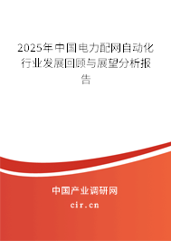 2025年中國電力配網(wǎng)自動化行業(yè)發(fā)展回顧與展望分析報告 2025年中國電力配網(wǎng)自動化行業(yè)發(fā)展回顧與展望分析報告