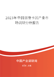 2023年中國普魯卡因產業(yè)市場調研分析報告 2023年中國普魯卡因產業(yè)市場調研分析報告