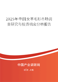 2025年中國(guó)女羊毛衫市場(chǎng)調(diào)查研究與投資機(jī)會(huì)分析報(bào)告 2025年中國(guó)女羊毛衫市場(chǎng)調(diào)查研究與投資機(jī)會(huì)分析報(bào)告