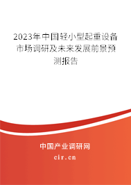 2023年中國輕小型起重設(shè)備市場調(diào)研及未來發(fā)展前景預(yù)測報告