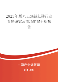 2025年版八五燒結(jié)紅磚行業(yè)專題研究及市場前景分析報告 2025年版八五燒結(jié)紅磚行業(yè)專題研究及市場前景分析報告